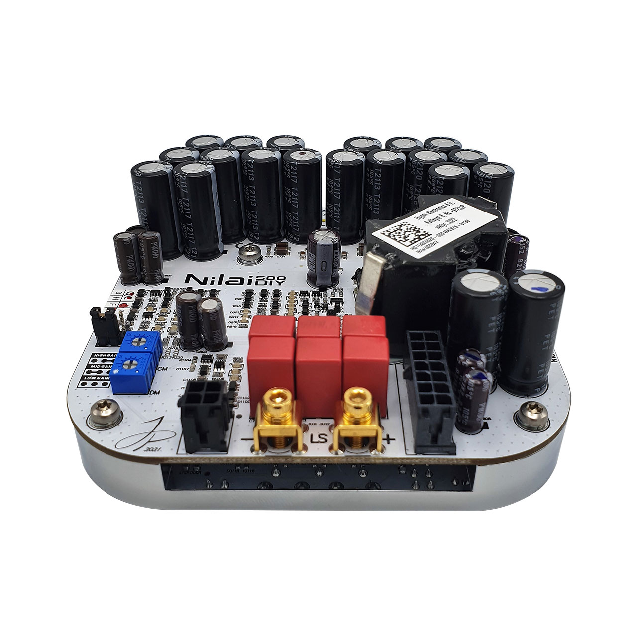 DIYclassD Nilai500DIY amplifier module