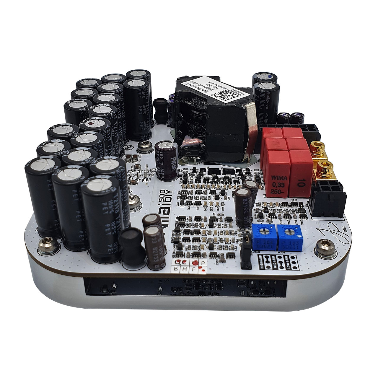 DIYclassD Nilai500DIY amplifier module